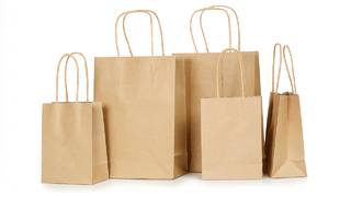 Eco Friendly Kraft Paper Bag Custom Printed Shopping Gift Paper Bags